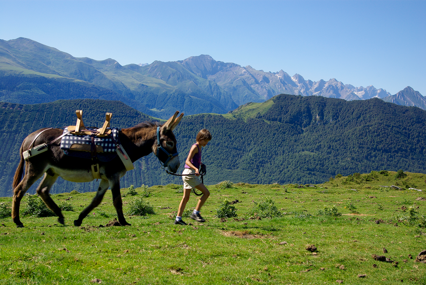 Nos gîtes en Val d’Azun - Hautes-Pyrénées - Balade avec les ânes